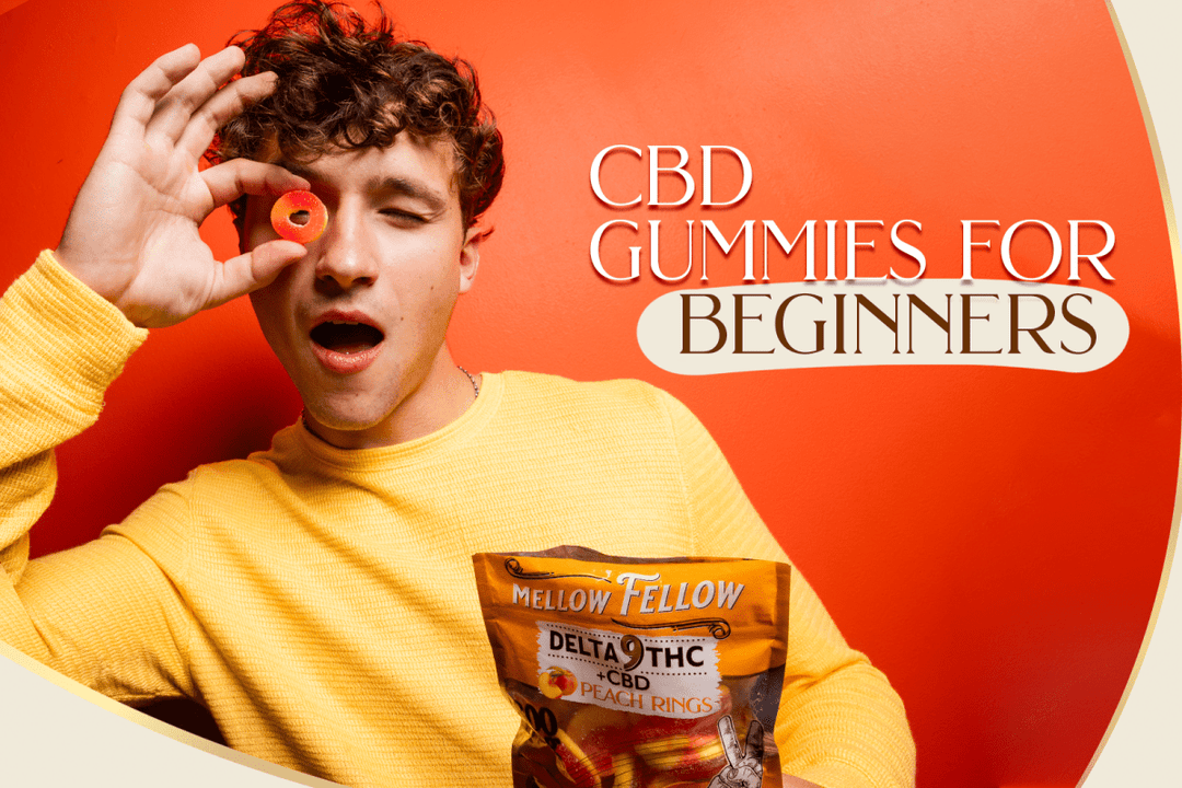 CBD Gummies for Beginners: What You Can Expect From Your First Experience - Mellow Fellow