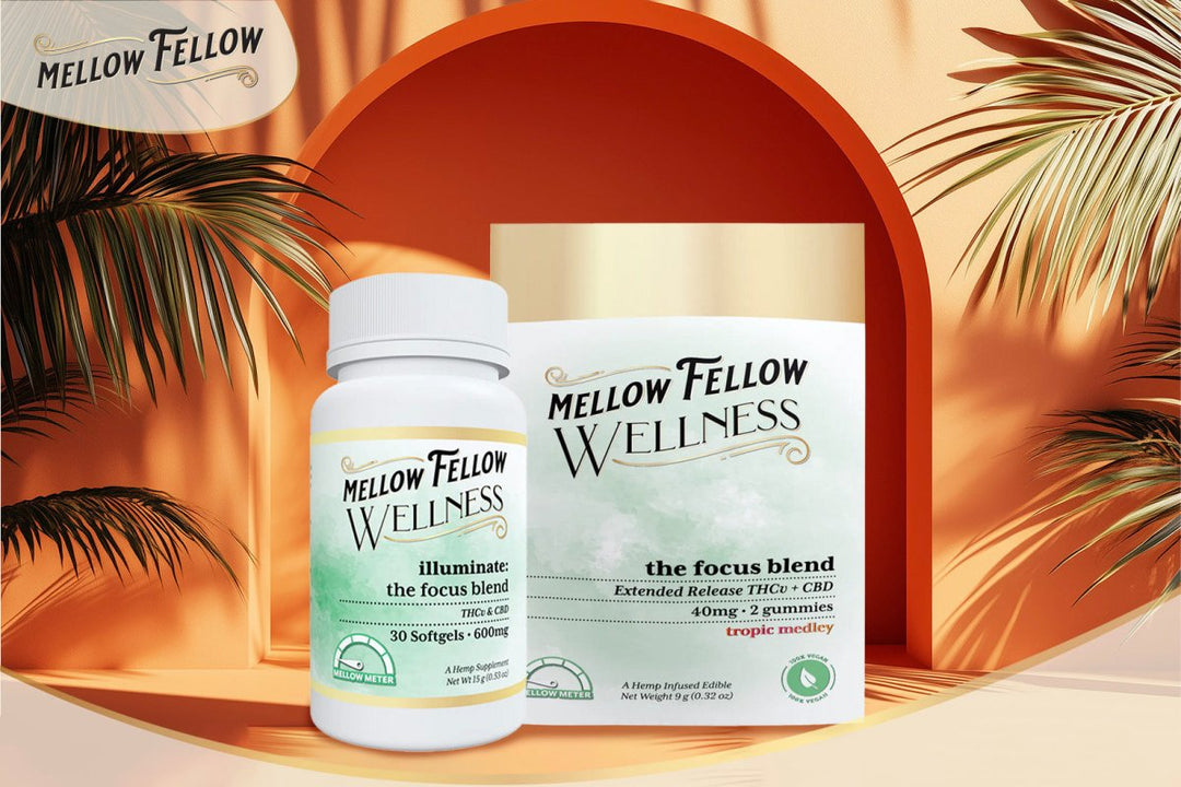 Focus Gummies for ADHD: Do they Work? - Mellow Fellow