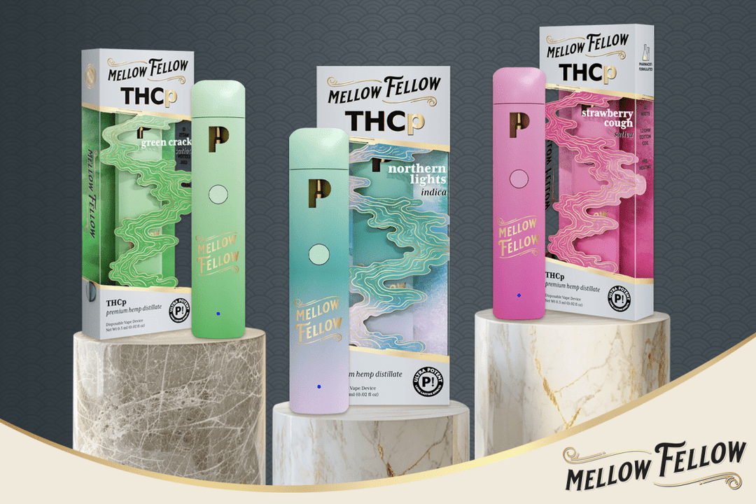 HHCp vs. THCp - Mellow Fellow