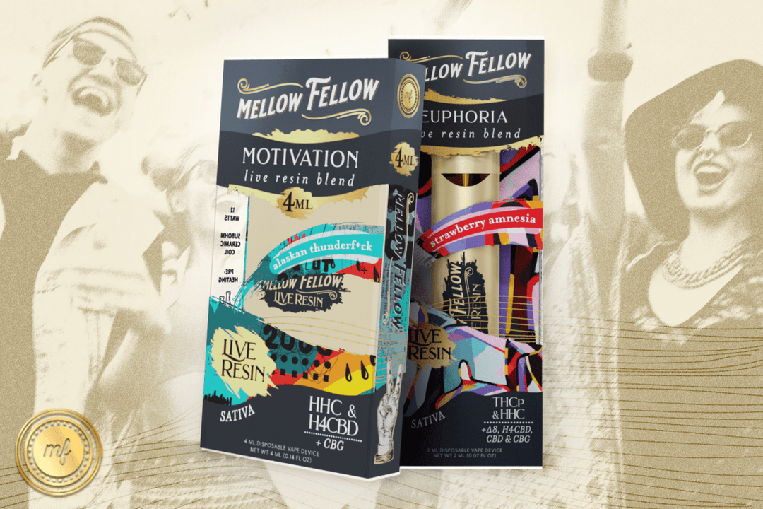 5 Best Strains for Being at a Festival - Mellow Fellow