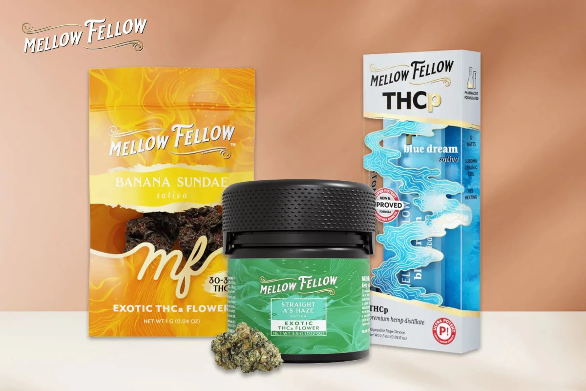 What Does Sativa Do to You? Effects, Brain, and Top Picks – Mellow Fellow