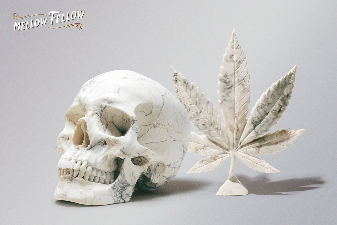 How Many Cannabinoid Receptors Are There in a Human Body? (Complete Guide) - Mellow Fellow