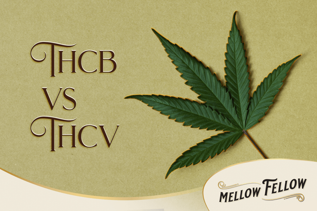 THCb vs. THCv: A Close Look at These Unique Cannabinoids - Mellow Fellow