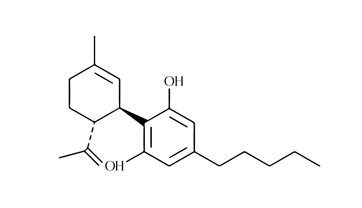 A black silhouette of a cat with its tail curled, facing left.