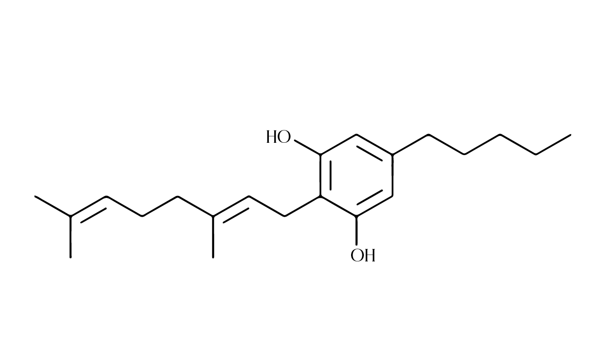 Black square with no visible details or features.