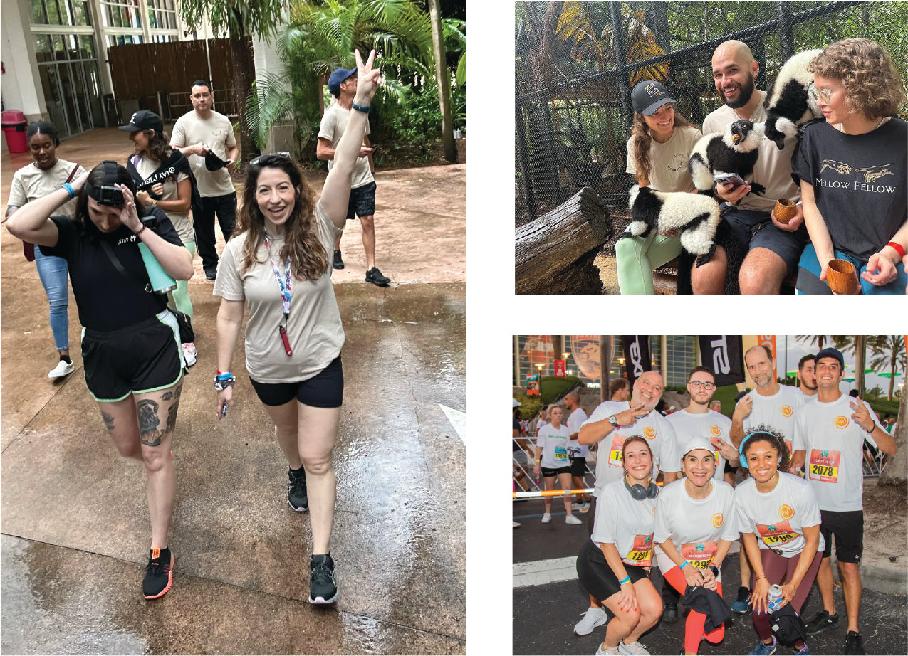 A collage of four images: a group walking outdoors, a man and woman holding lemurs, and two groups posing at a race event. Smiles and casual attire suggest fun and teamwork in various activities.
