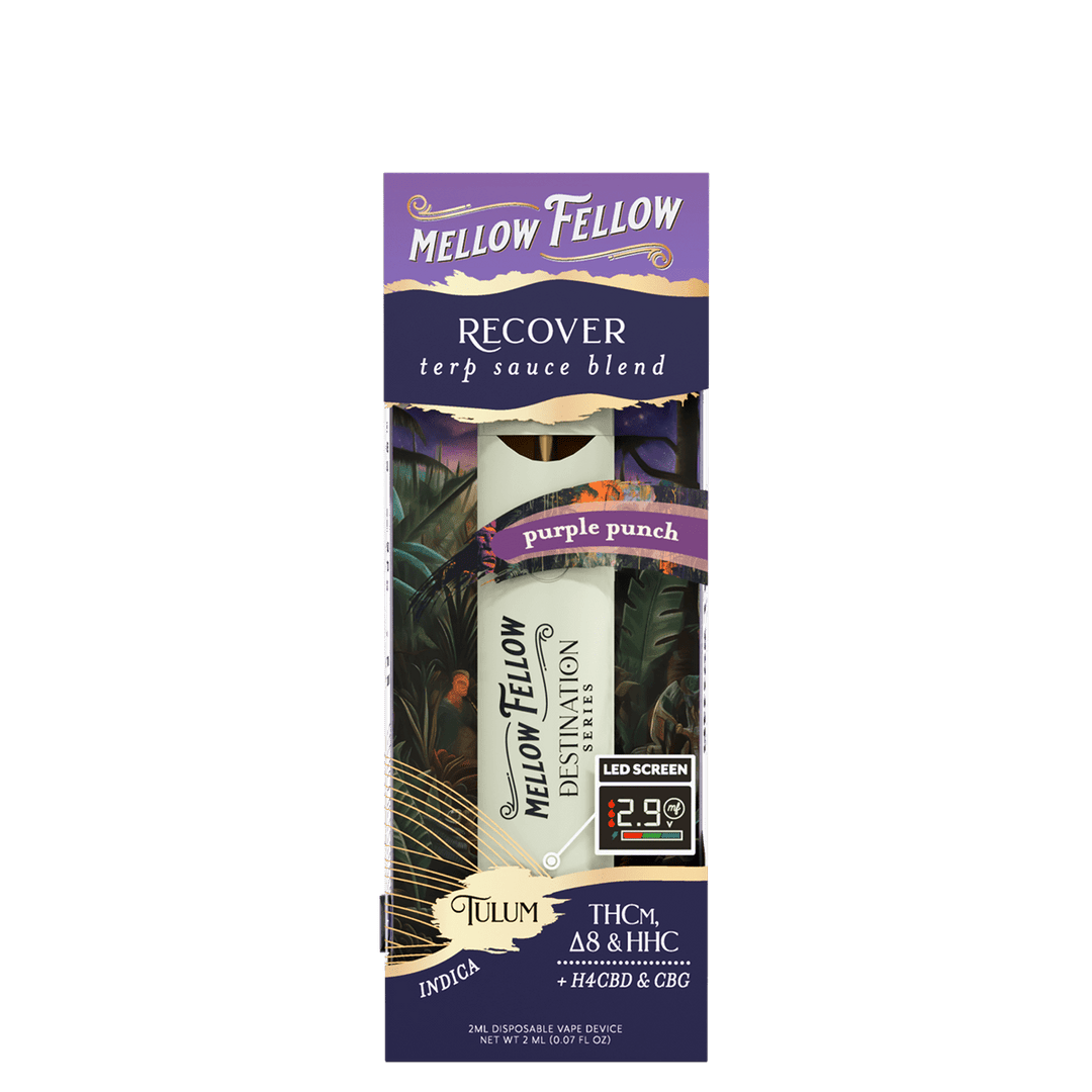 Recover Blend - Destination: Tulum - Terp Sauce 2ml Disposable Vape - Purple Punch (Indica) - Mellow Fellow