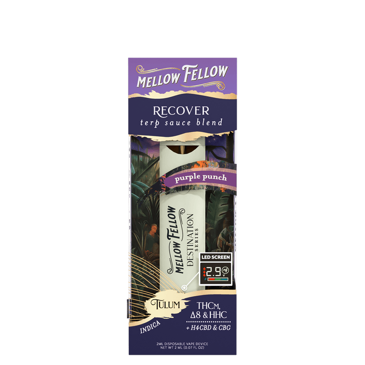 Recover Blend - Destination: Tulum - Terp Sauce 2ml Disposable Vape - Purple Punch (Indica) - Mellow Fellow