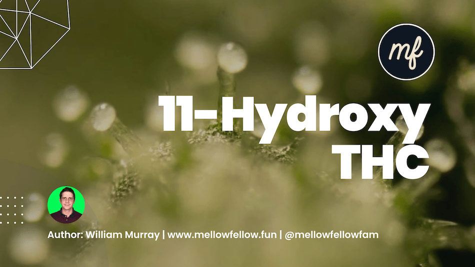 11 Hydroxy THC: What You Need to Know - Mellow Fellow