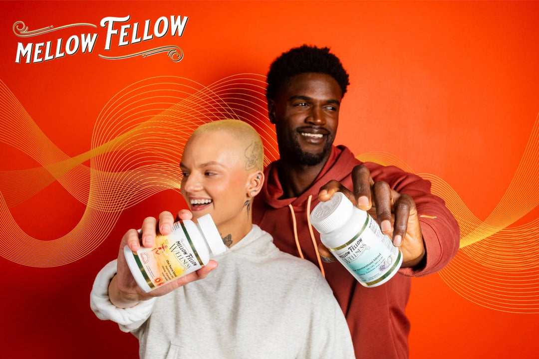 3CHI. vs Skyhio vs. Mellow Fellow: Choosing the Right Cannabis Brand - Mellow Fellow