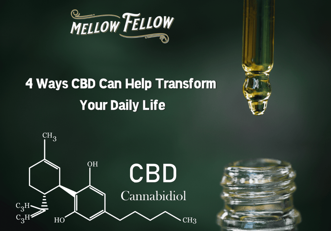 4 Ways CBD Can Help Transform Your Daily Life - Mellow Fellow