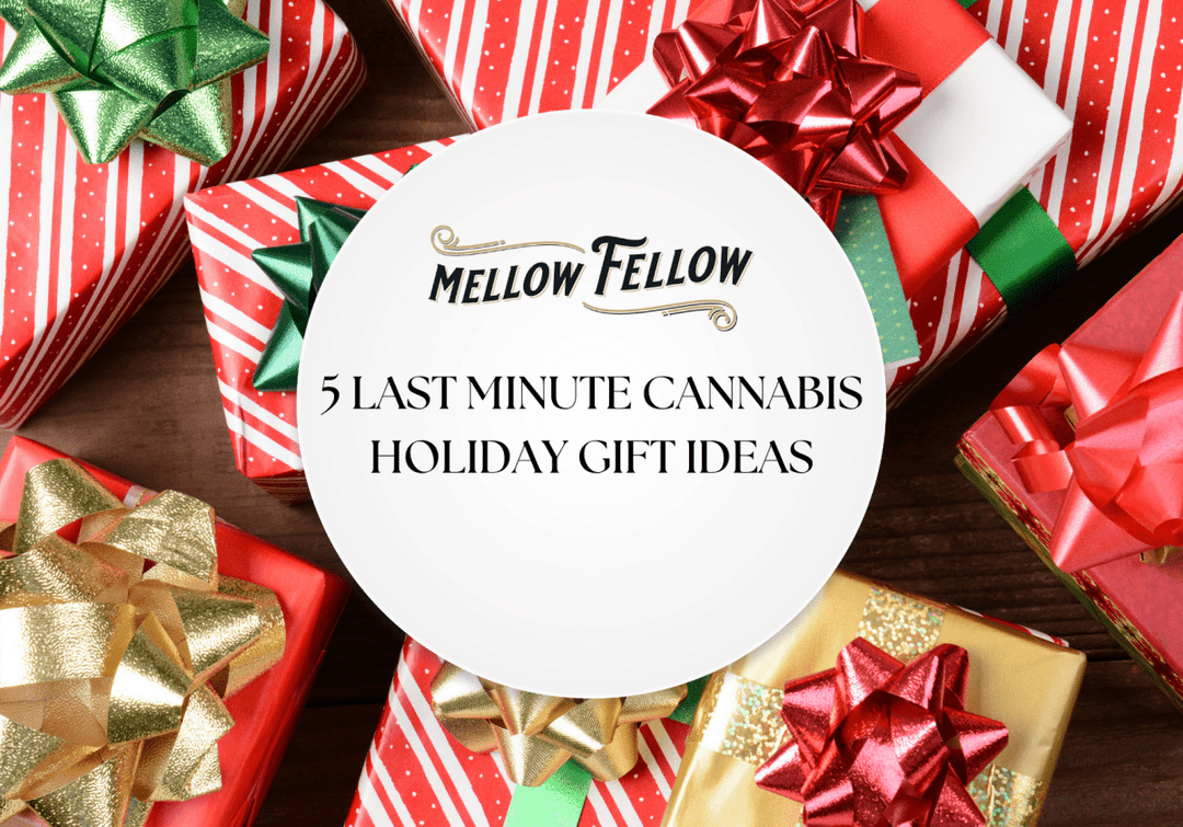 5 Last Minute Cannabis Holiday Gift Ideas - Mellow Fellow