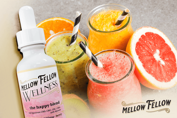 7 CBD Smoothie Recipes You Can Make with Our Wellness Tinctures (That Actually Taste Amazing)