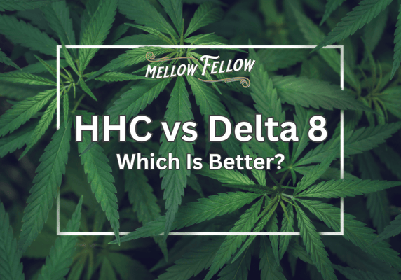 HHC vs Delta 8 - Which Is Better?