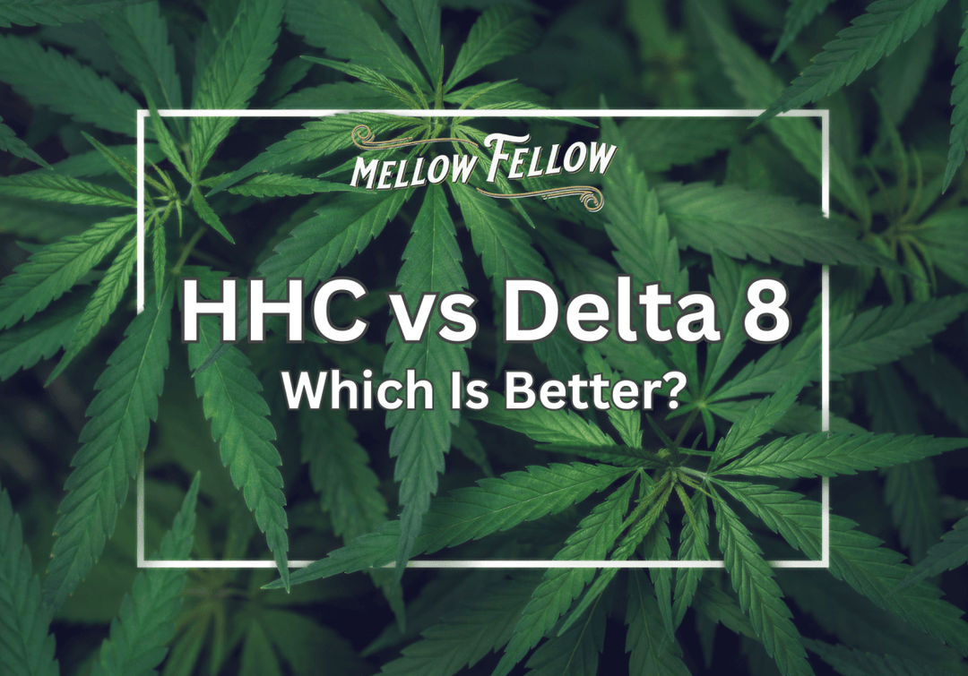 HHC vs Delta 8 - Which Is Better? - Mellow Fellow