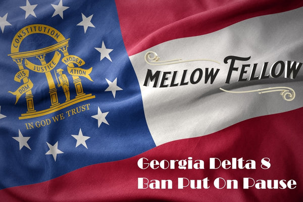 Georgia Senate Vote To Ban Delta-8 THC Put On Pause