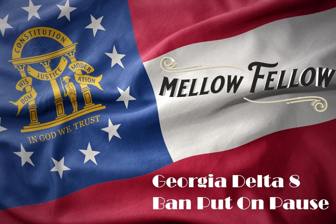 Georgia Senate Vote To Ban Delta-8 THC Put On Pause - Mellow Fellow