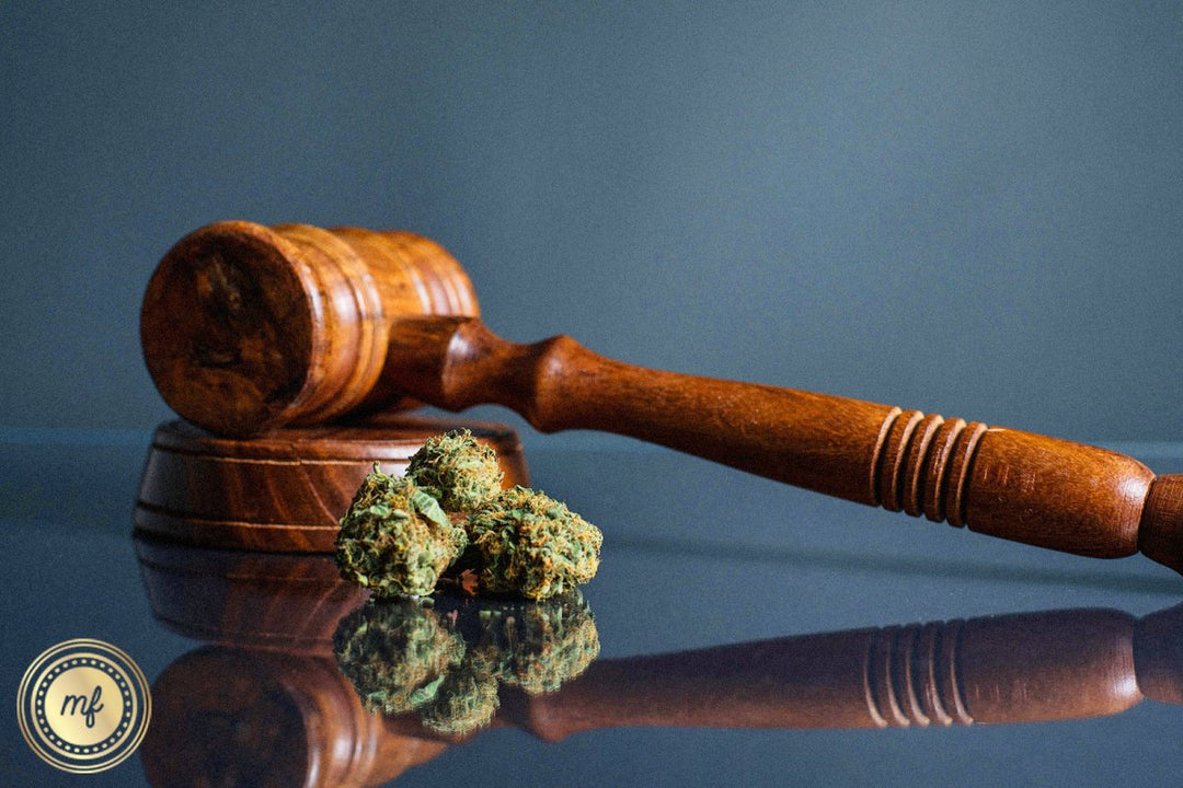 What Every Hemp Consumer Needs to Know: It's Time to Stand Together - Mellow Fellow
