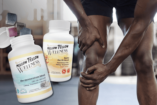 Best Gummies for Knee Pain