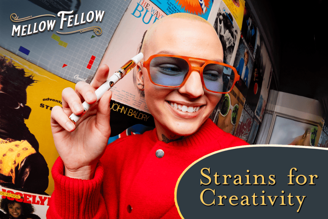 Best Sativa Strains for Creativity - Mellow Fellow