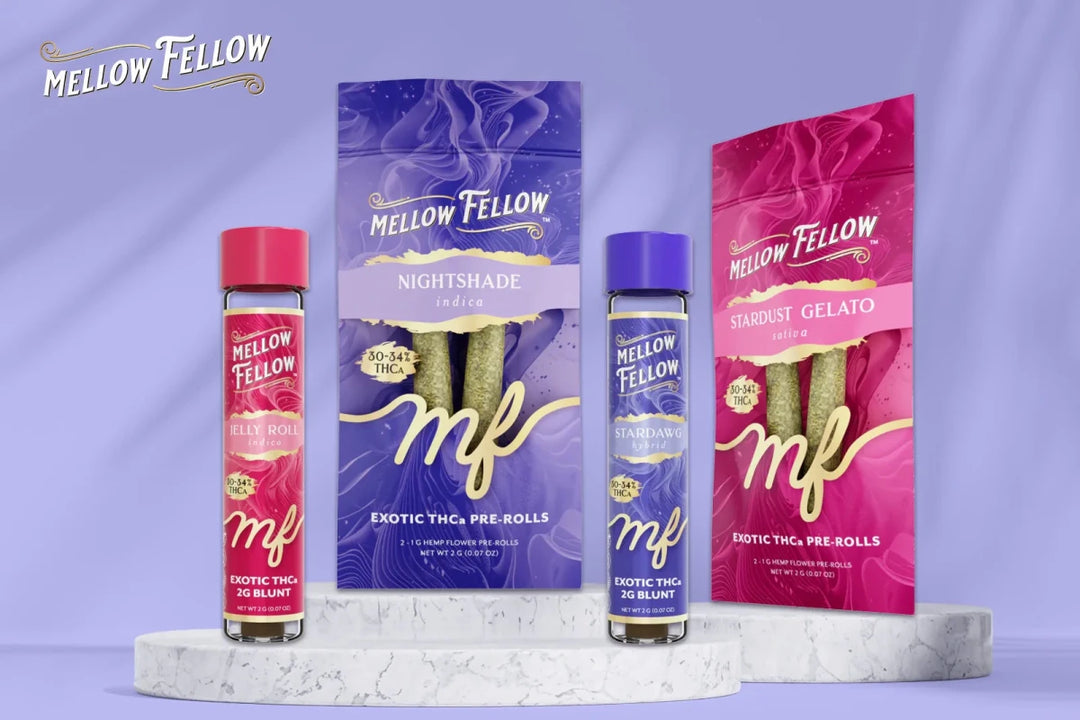 White Widow Strain Review: Crystal-Coated for Creatives - Mellow Fellow White Widow Strain Review: Crystal-Coated for Creatives - Mellow Fellow