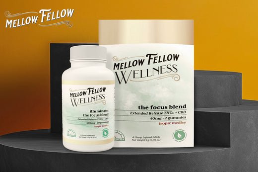 Can CBD Help With ADHD? - Mellow Fellow