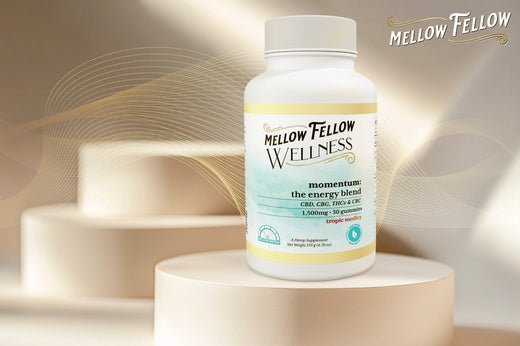 Can CBD Help You Quit Nicotine? - Mellow Fellow
