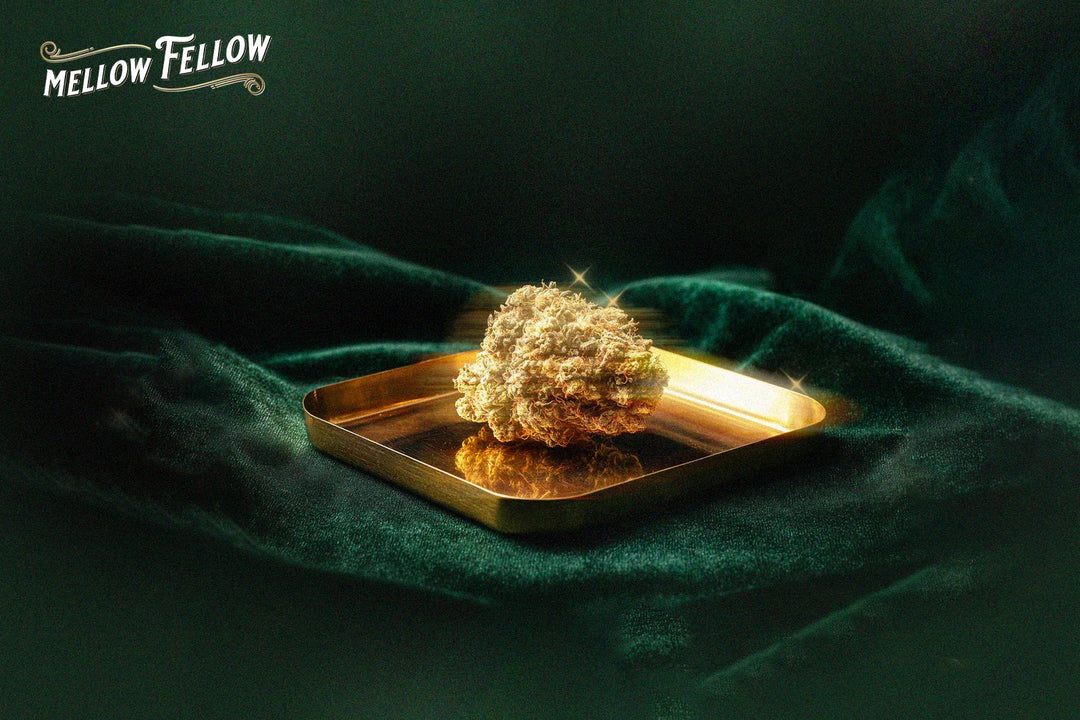 A cannabis bud rests on a gold tray atop rich green velvet
