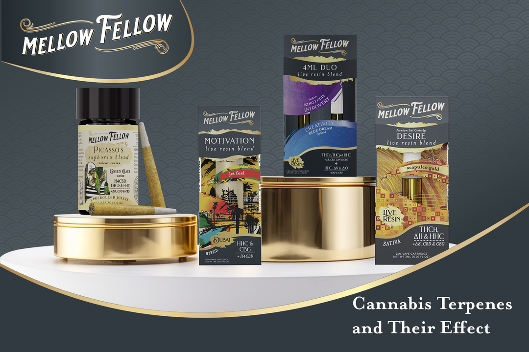 Assorted cannabis products from Mellow Fellow.