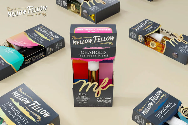 cbdMD vs. Charlotte's Web vs. Mellow Fellow: Choosing the Best CBD Brand