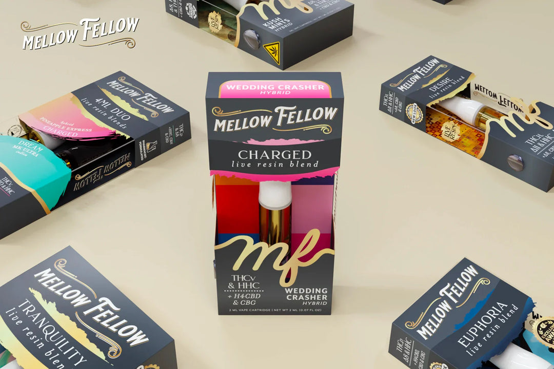 cbdMD vs. Charlotte's Web vs. Mellow Fellow: Choosing the Best CBD Brand