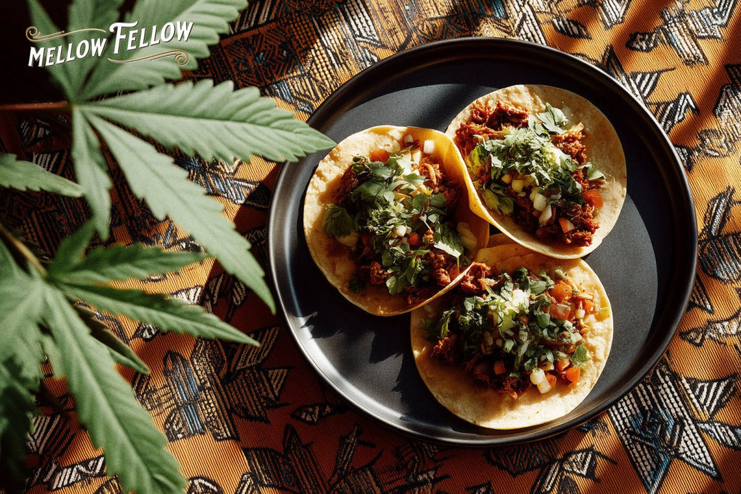 Cinco de Mayo: Liven Your Celebration With Cannabis-Infused Mexican Fiesta Ideas - Mellow Fellow