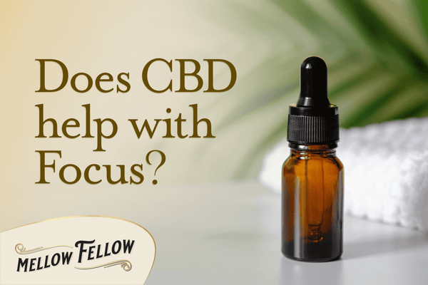 Does CBD Help with Focus?