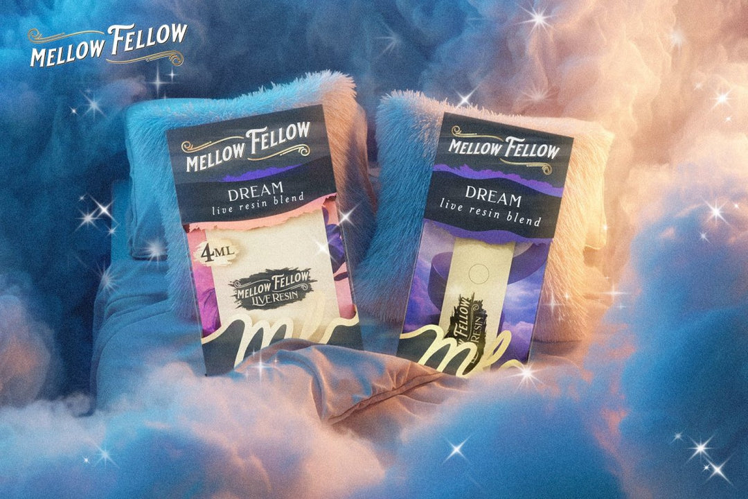 Dream Blend for Sleep Review: Why 3 AM Wake-Ups Don't Stand a Chance - Mellow Fellow