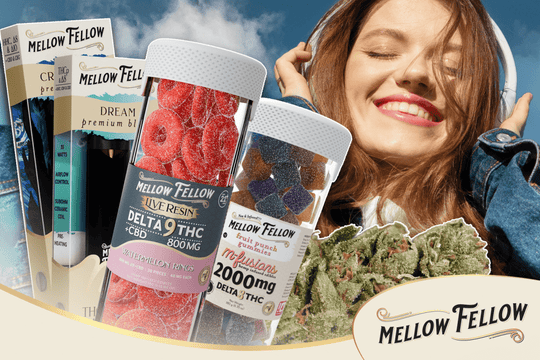 Edibles, Vapes, or Flower? Choosing the Right Cannabis Format for Your Mood