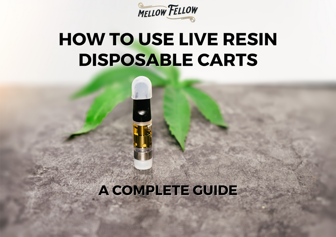 How To Use Live Resin Disposable Carts - Mellow Fellow