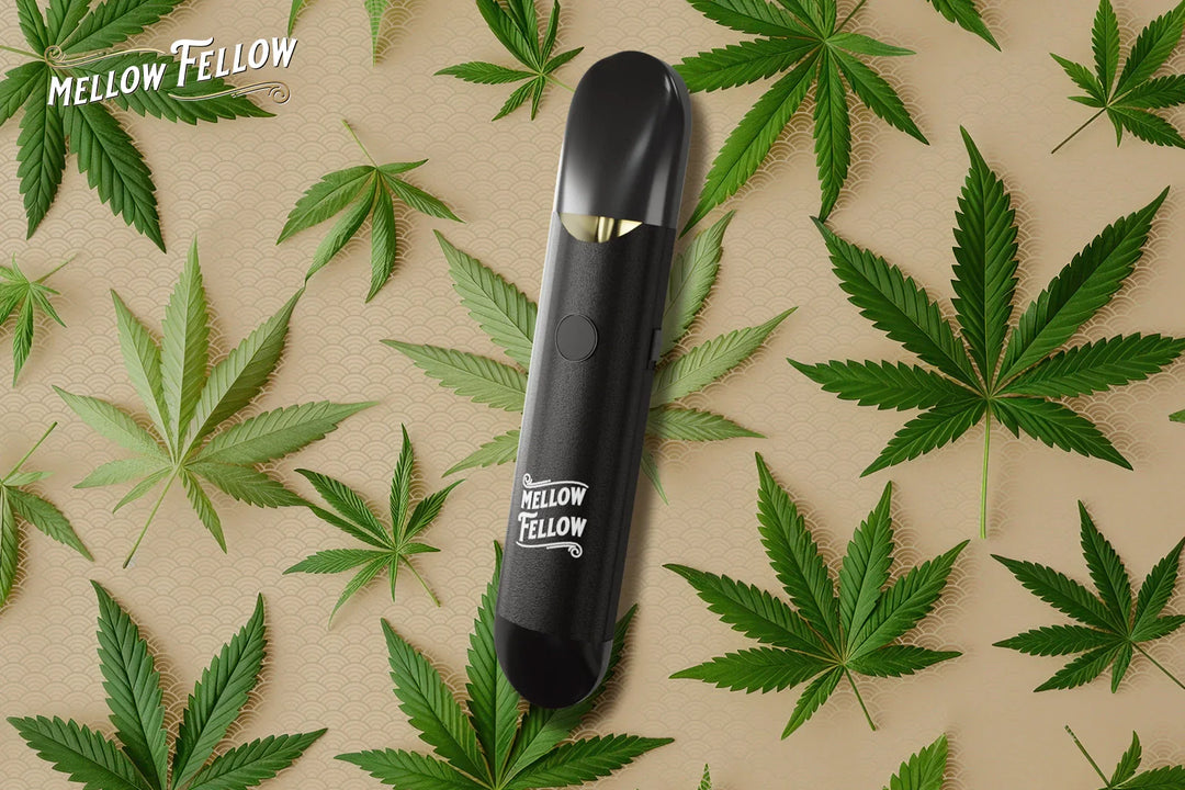 HTE vs THCa: Two Concentrates That Define Your Experience - Mellow Fellow