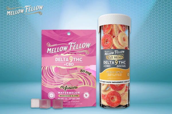 Hemp-Derived Edibles vs Cannabis Gummies: What's the Real Difference?