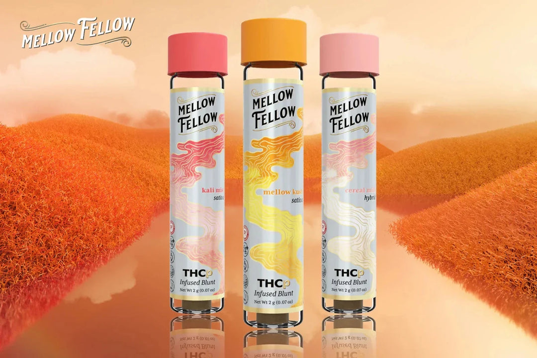 How Is THCp Flower Made: Production Process and Methods - Mellow Fellow
