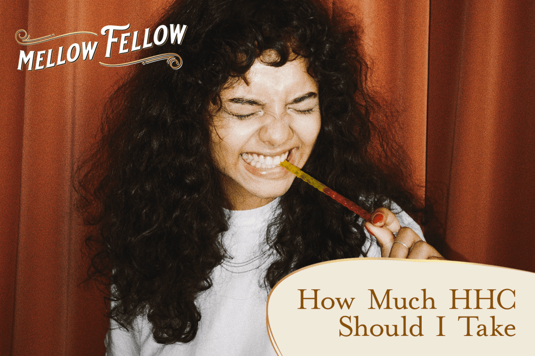 How Much HHC Should I Take? - Mellow Fellow