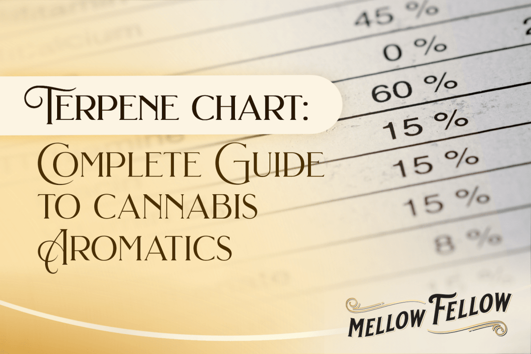 How to Read a Terpene Chart: Your Complete Guide to Cannabis Aromatics - Mellow Fellow