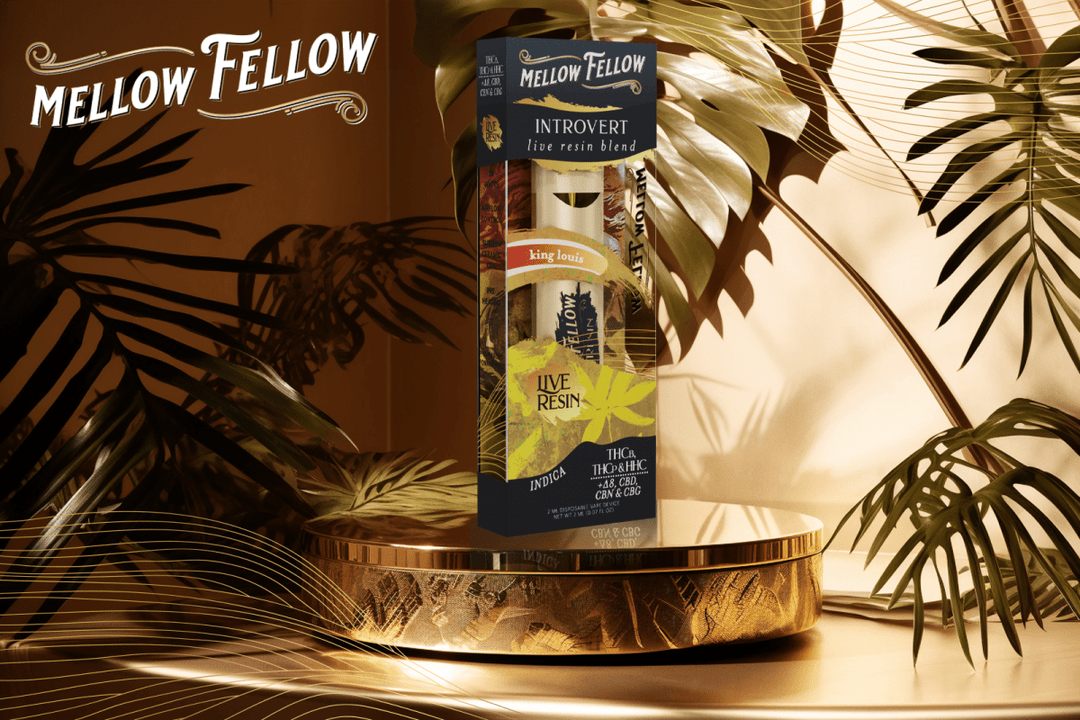 How Many Cannabinoid Receptors are There in a Human Body? - Mellow Fellow