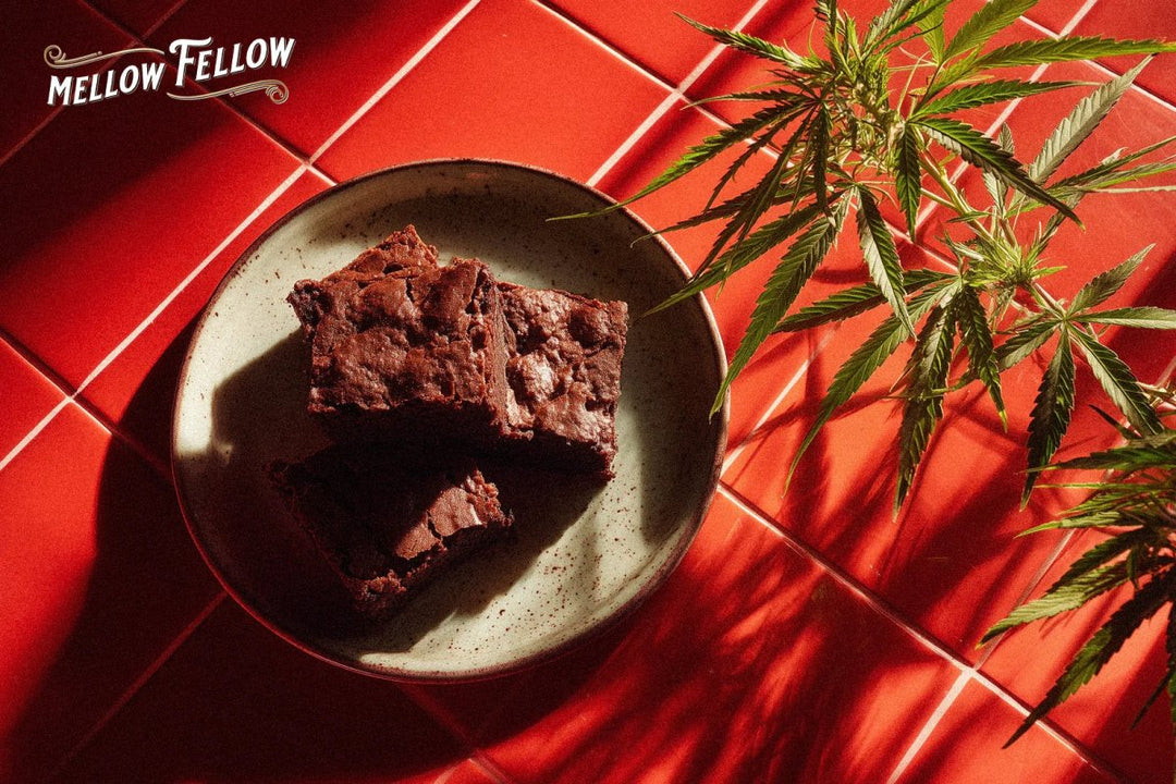 How to Make Edibles with Flower: Your Kitchen Cannabis Chemistry Guide (No Lab Coat Required) - Mellow Fellow