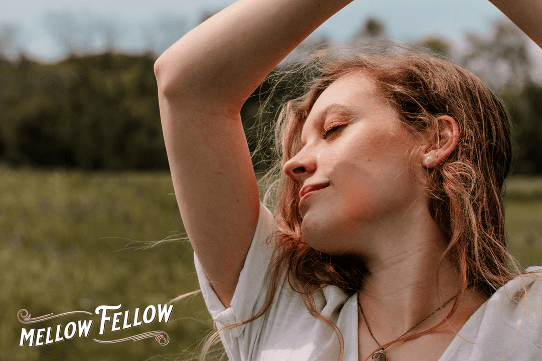 How to Naturally Feel More Awake: A Full Guide with Quick and Simple Solutions - Mellow Fellow