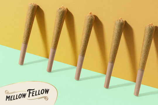 How to Smoke an Infused Preroll: A Complete Guide For Maximum Enjoyment