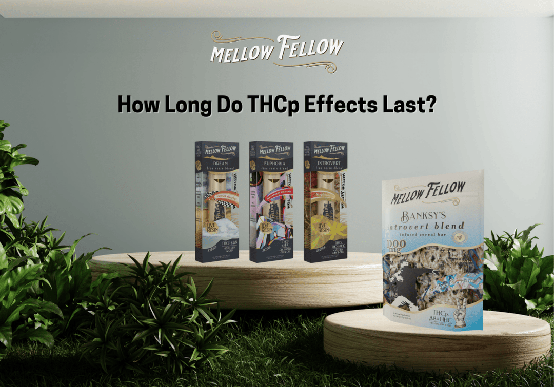 How Long Do THCp Effects Last? - Mellow Fellow