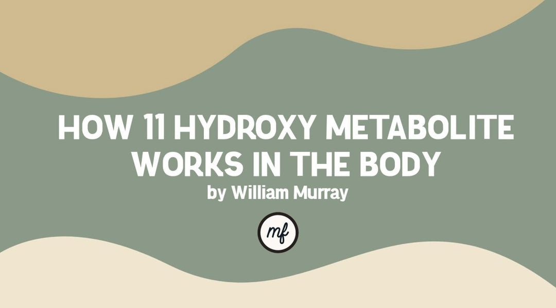 How 11 Hydroxy Metabolite Works in The Body - Mellow Fellow