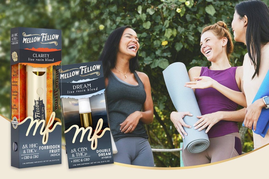 International Yoga Day: How Cannabinoids Can Deepen Your Practice - Mellow Fellow