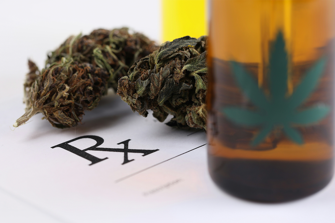 Two marijuana buds and a tincture placed on a white paper with an RX logo