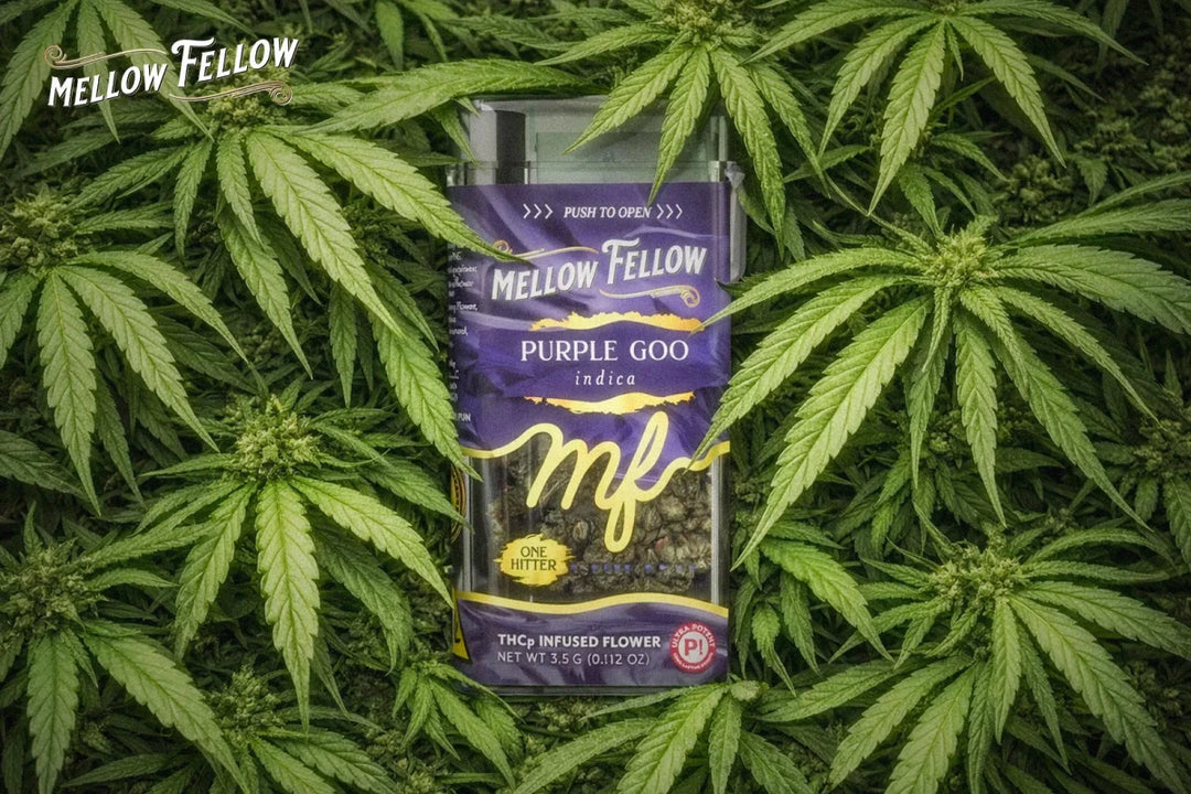 Is THCp Flower Sprayed? Quality Identification Guide - Mellow Fellow